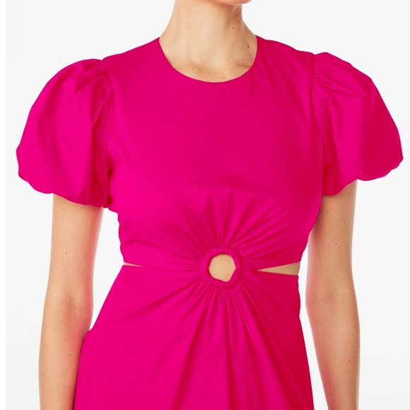 Brand New with tags Scoop Fuschia Dress - Picture 2 of 5